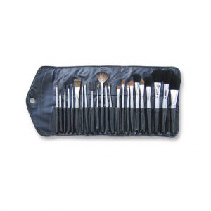 Sable & Goat Hair 23pc set (Very good quality)