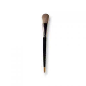 Face Brush
