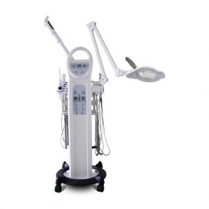 10 Function Facial Machine Contemporary Sleek Design